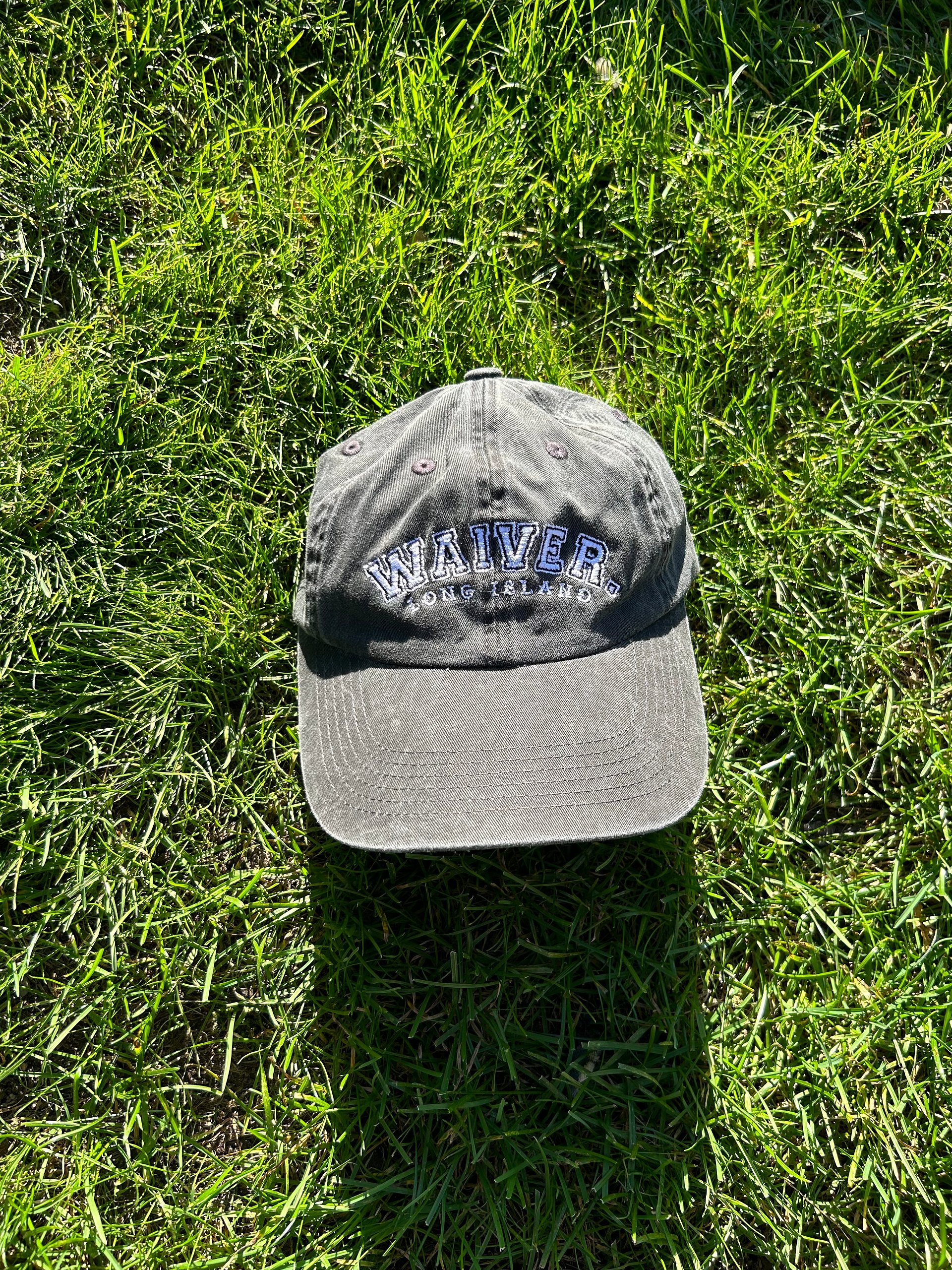 WAIVER. Dad Hat product image (1)