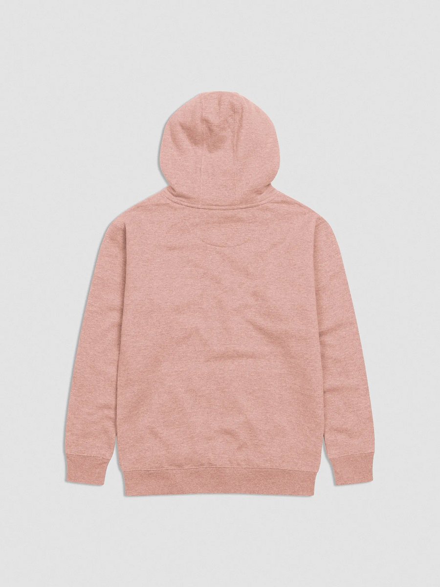 No Tits No Problem Hoodie (Gold Embroidery) product image (2)