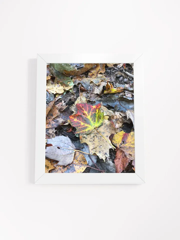 Natural Fall Leaf High Quality Matte Poster product image (1)