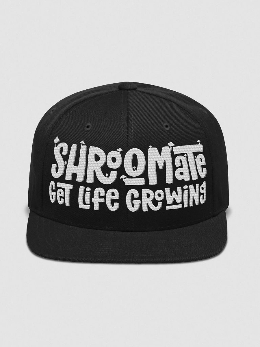 Snapback Classic Brand Cap product image (2)