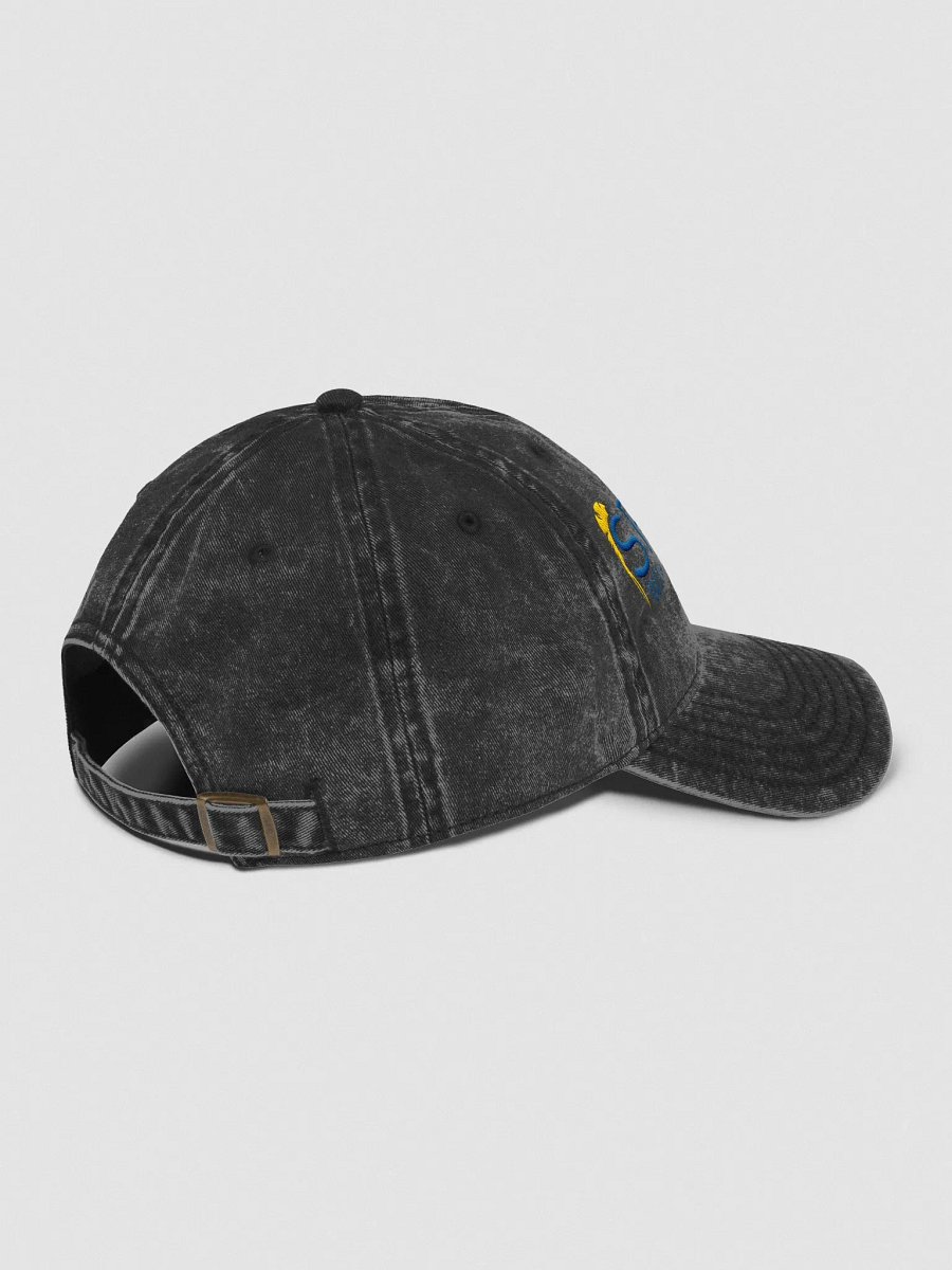 SW Vintage Wash Hat product image (1)