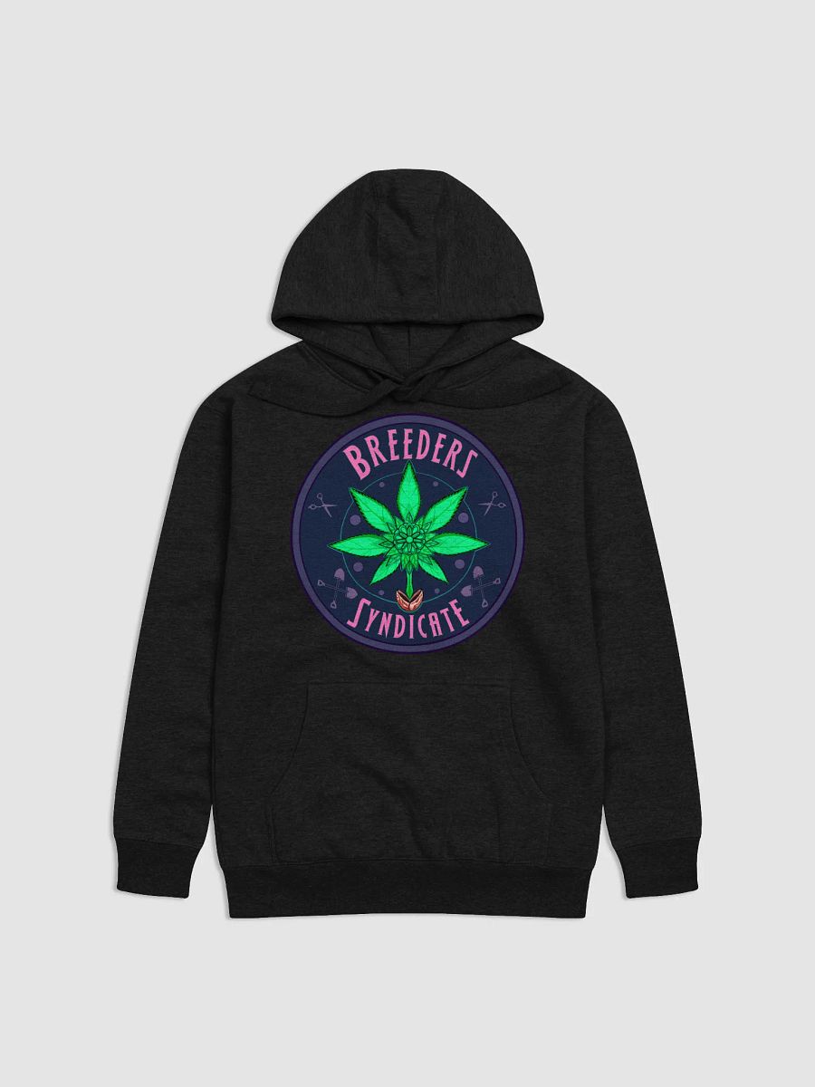 Breeders Syndicate Older Logo Soft Hoodie product image (1)