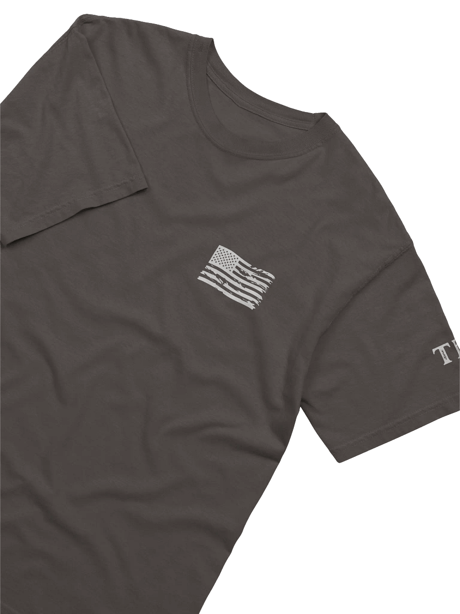 Pro-Democracy Warrior - Back Graphic Unisex T-shirt product image (3)
