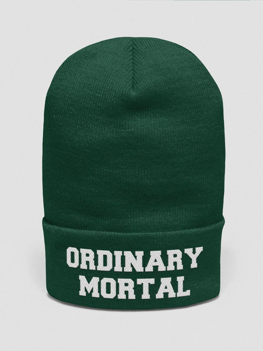Ordinary Human embroidered beanie product image (2)