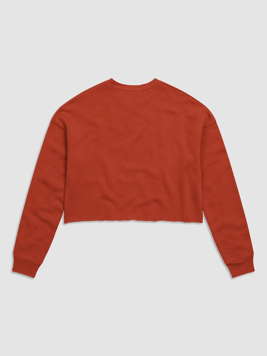 GLITCHY TELEVISION SKIES CROP SWEATER product image (23)