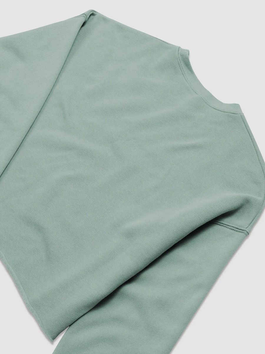 Pumpknnn crop sweatshirt product image (8)