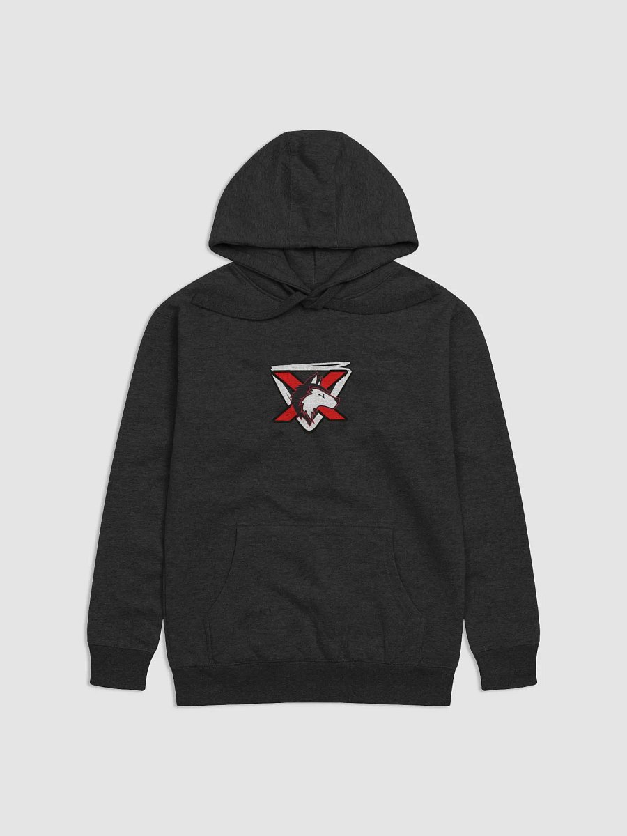AlphaXSynergy Cotton Heritage Unisex Premium Hoodie - Front Middle Logo product image (1)