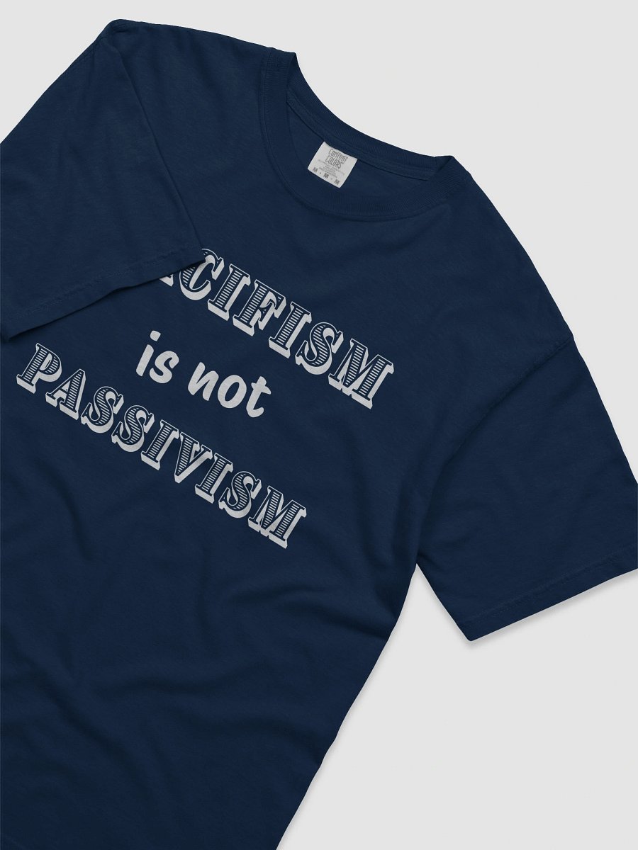 Pacifism is not Passivism Heavyweight Relaxed Fit Tee product image (5)