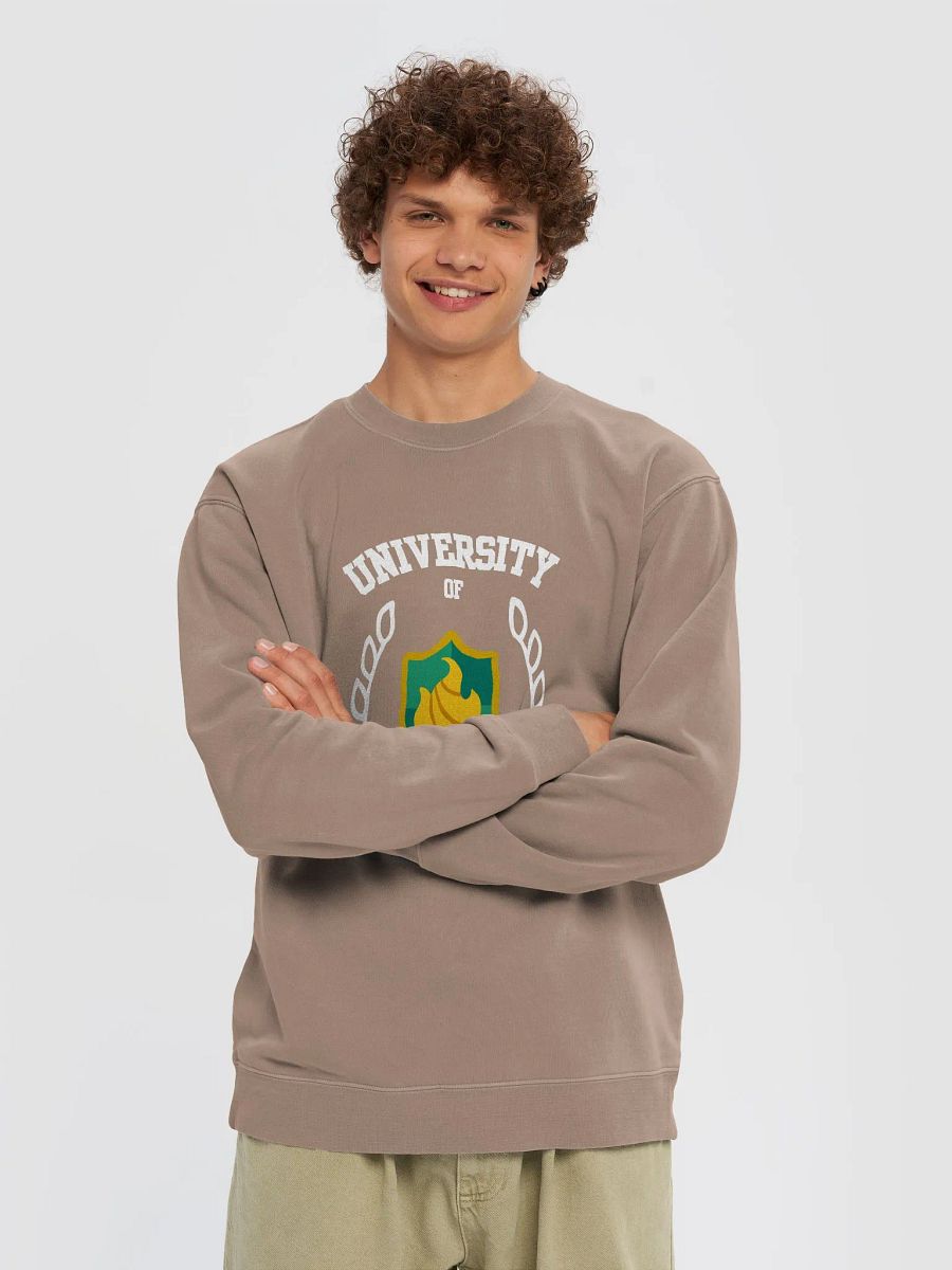 University of Britechester Crewneck product image (4)