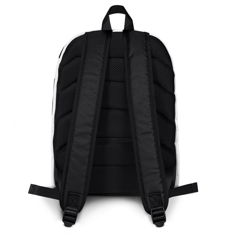 VastLaber Backpack product image (2)
