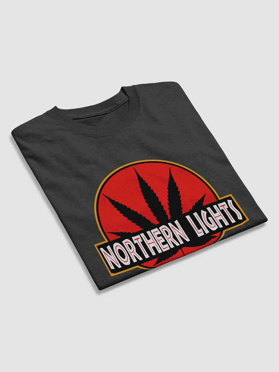 Northern Lights product image (3)