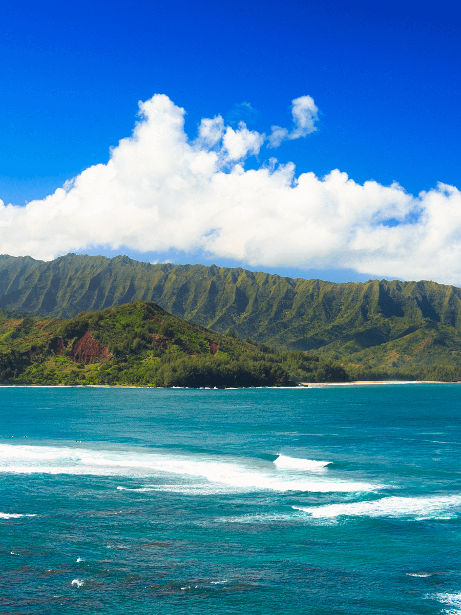 Hanalei Bay Kauai, Hawaii - Camouflage Trucker Hat product image (22)