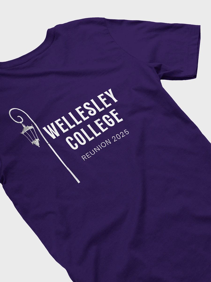 Reunion Tee with Small Wellesley College Seal product image (28)