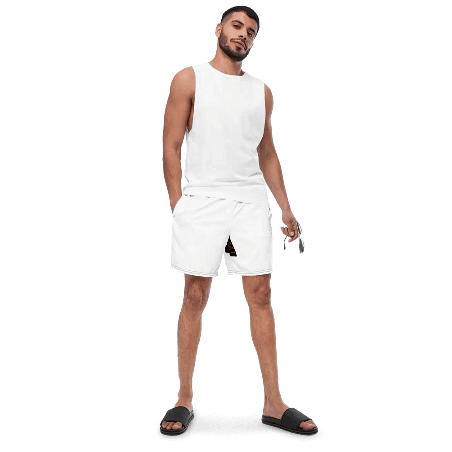 Nr2 swim shorts product image (4)