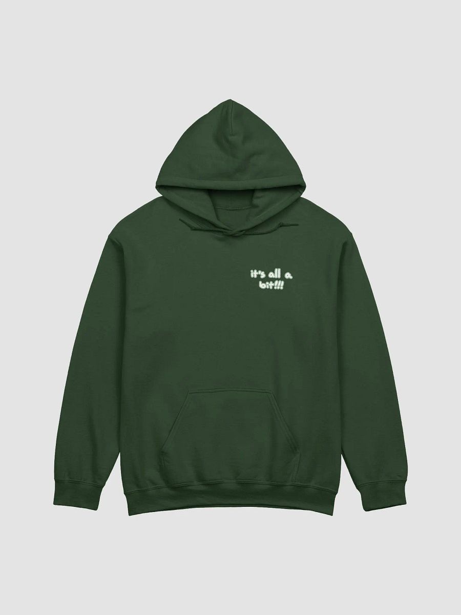 “It’s all a bit!!!” (sm. lined design, #CCE1C4) classic hoodie product image (32)