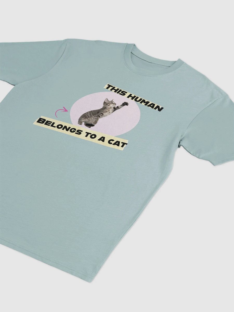 Playful Kitten 'Owned by a Cat' Tee product image (15)
