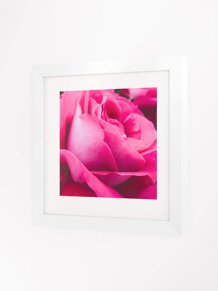 Velvet Rose Framed Poster product image (7)