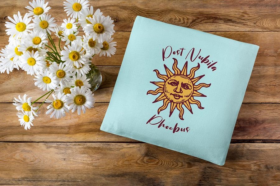 Post Nubila Phoebus Pillow product image (3)