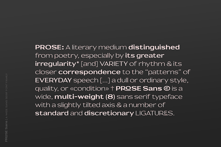 Prose Sans | A Wide Sans Serif Font Family product image (2)