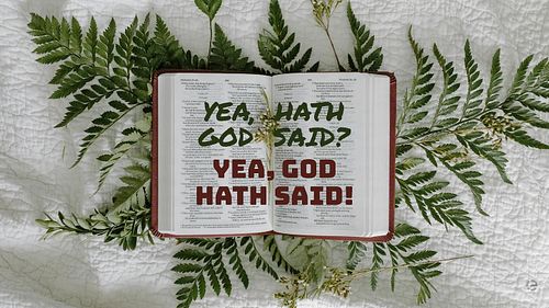 Yea, Hath God Said? Yea, God Hath Said! 
Wallpaper for Phone and PC
#temptation #truth #lies #gardenofeden #godsword #scriptu...