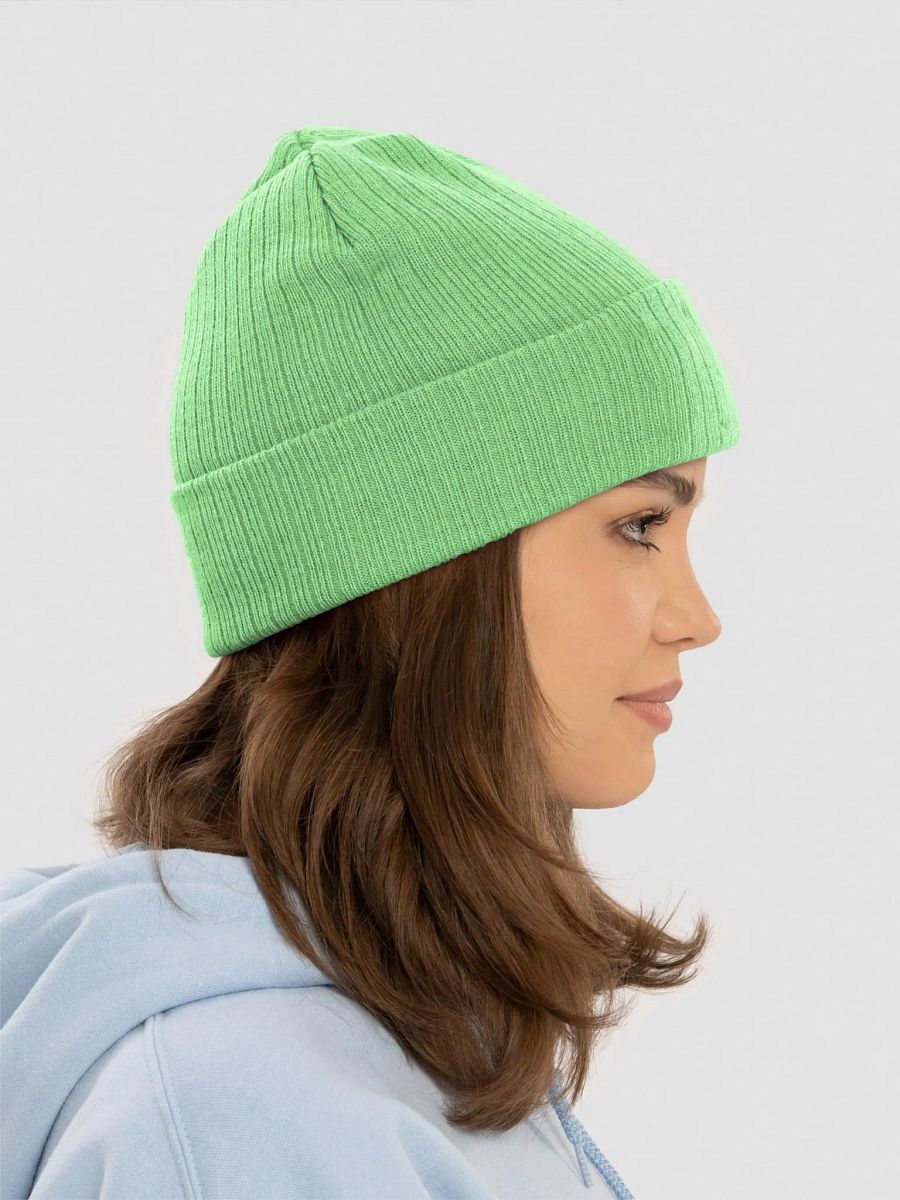 Autumn Vibes | Beanie product image (53)