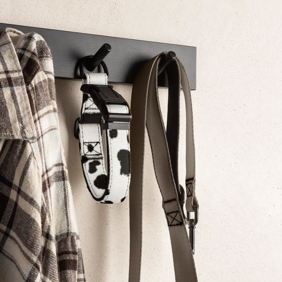 Dalmatian Dream Pet Collar product image (4)