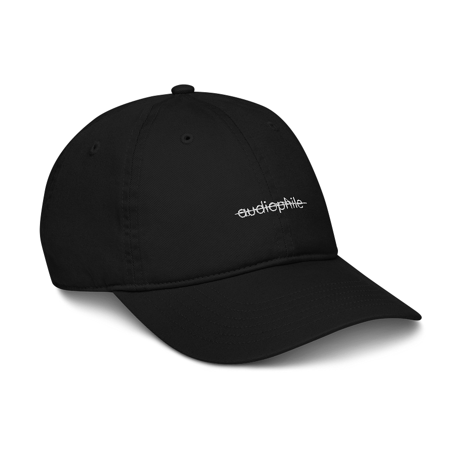 Not an audiophile hat product image (10)