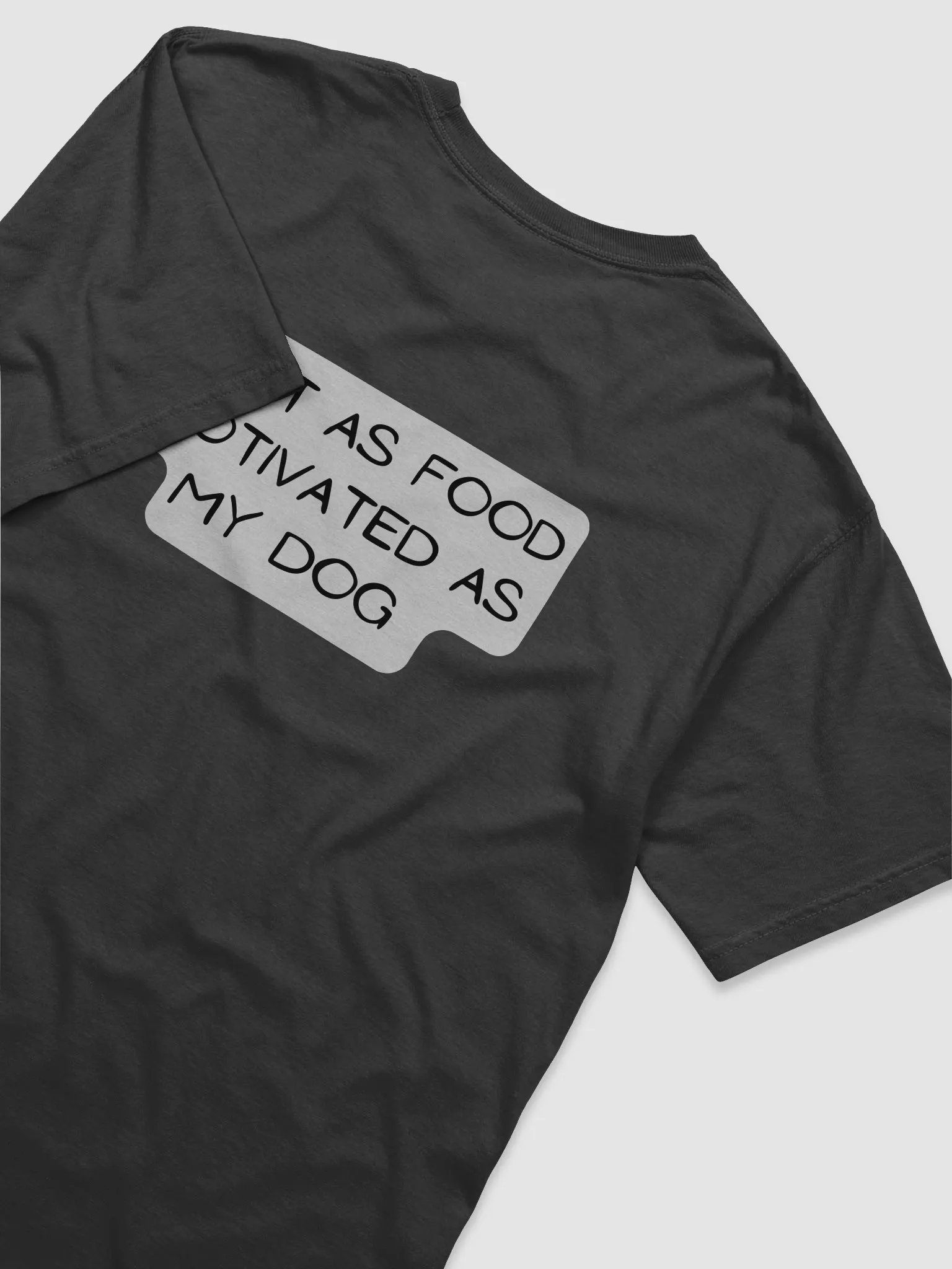 Fowler and Family Dog Training: Just as food motivated as my dog product image (19)