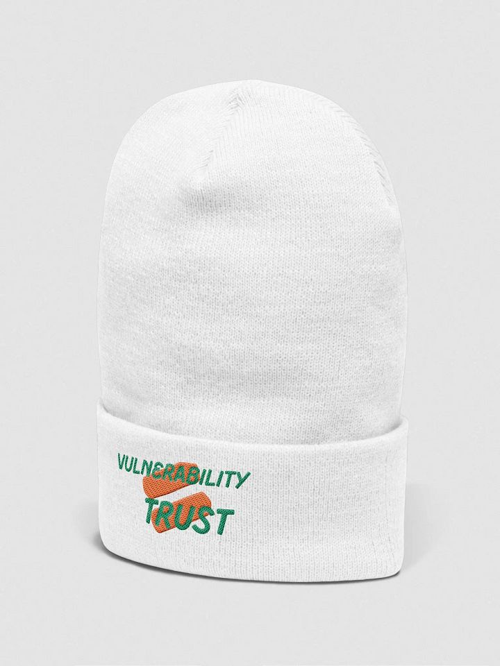 Vulnerability Skullee product image (12)