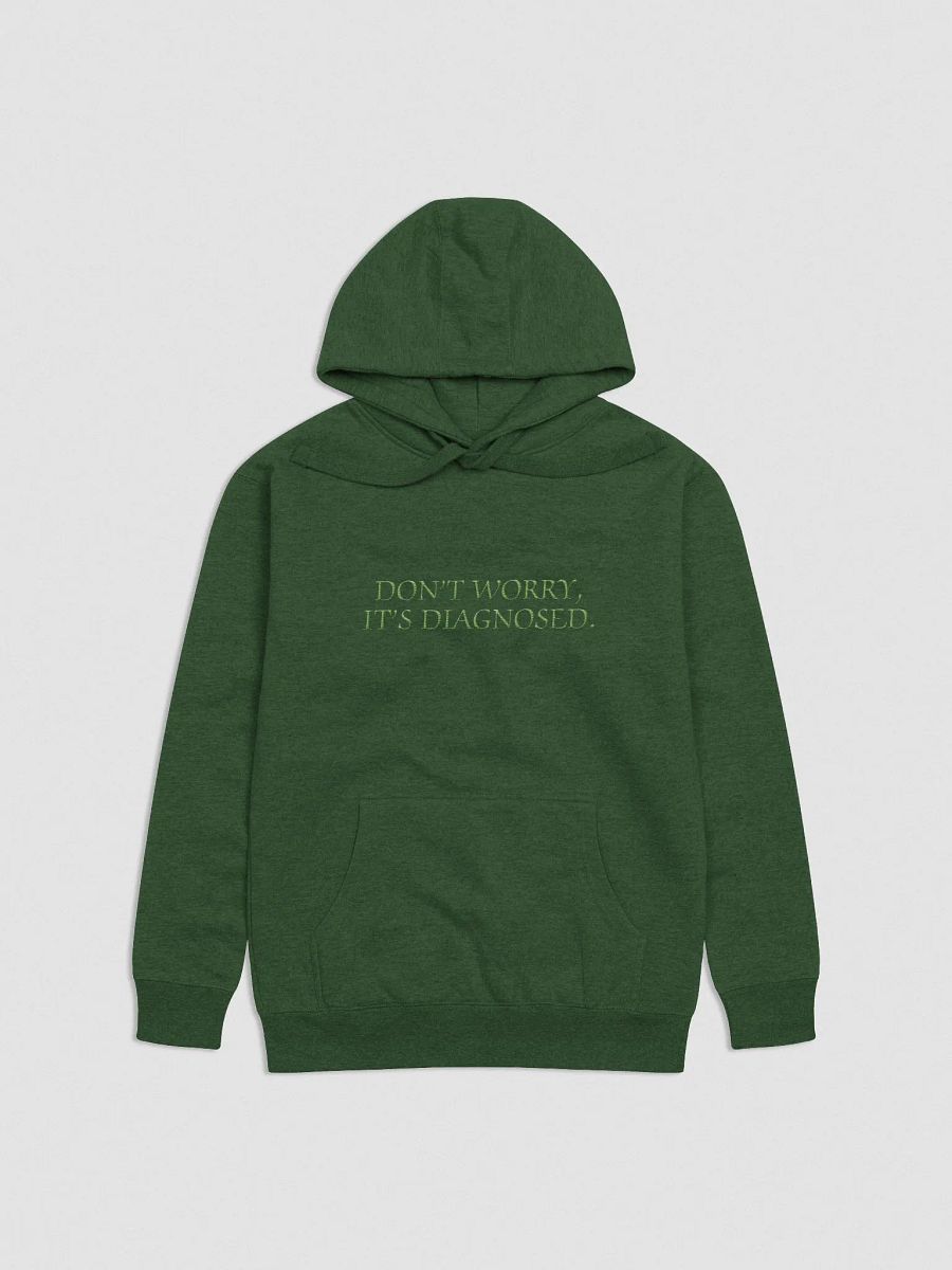 DW, IT'S DIAGNOSED. (monochrome green) embroidered heavyweight hoodie product image (1)