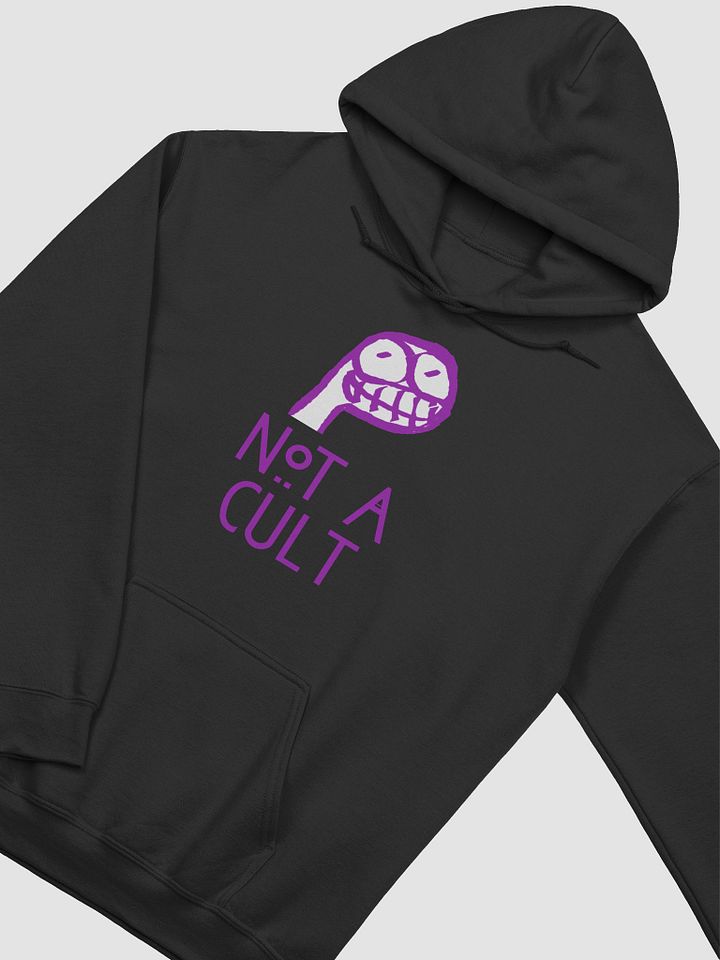 Not a Cult Hoodie product image (1)