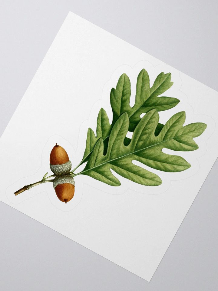 White Oak Sticker product image (2)