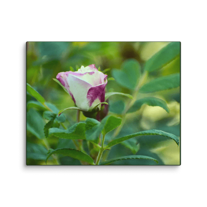 Canvas: One young delight product image (10)