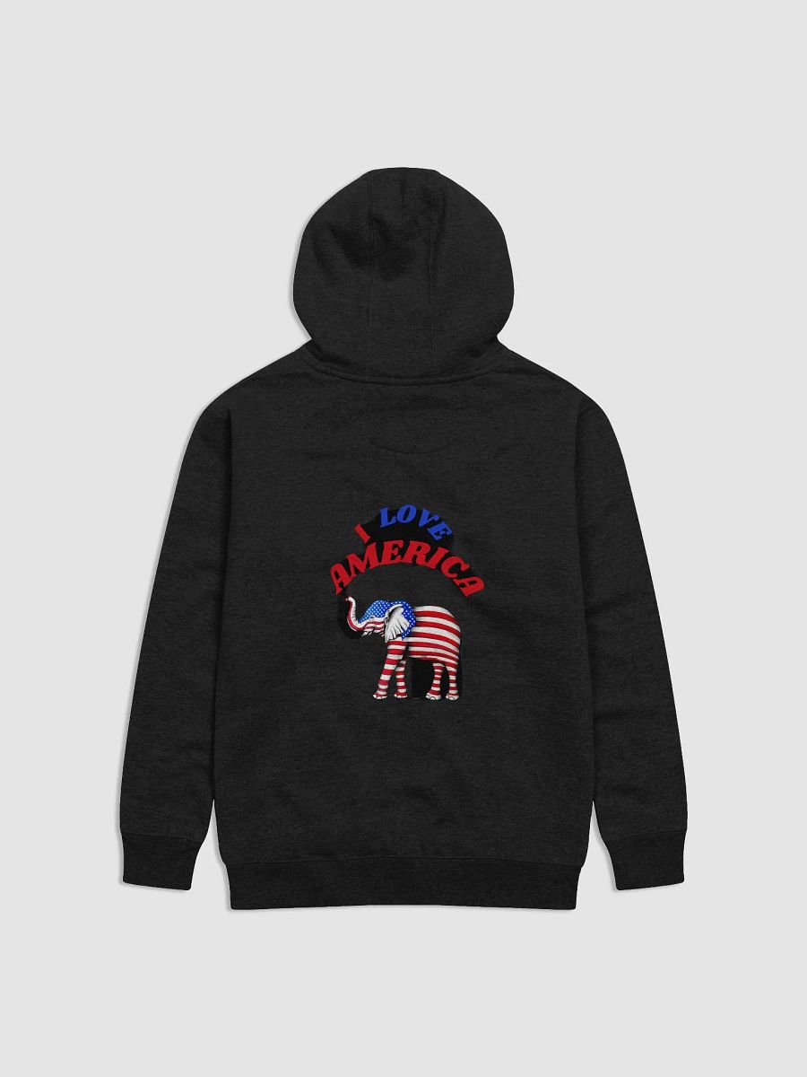 Block Unisex Hoodie Patriotic Color product image (1)