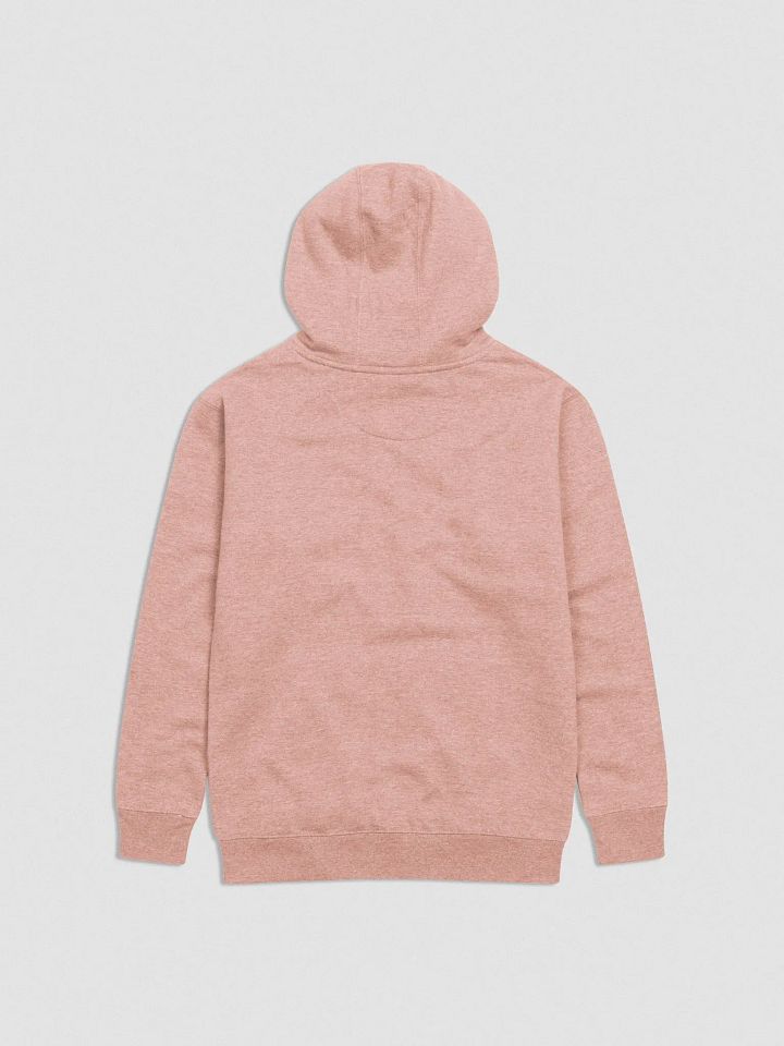 GW Dusty Rose embroidered hoodie product image (2)