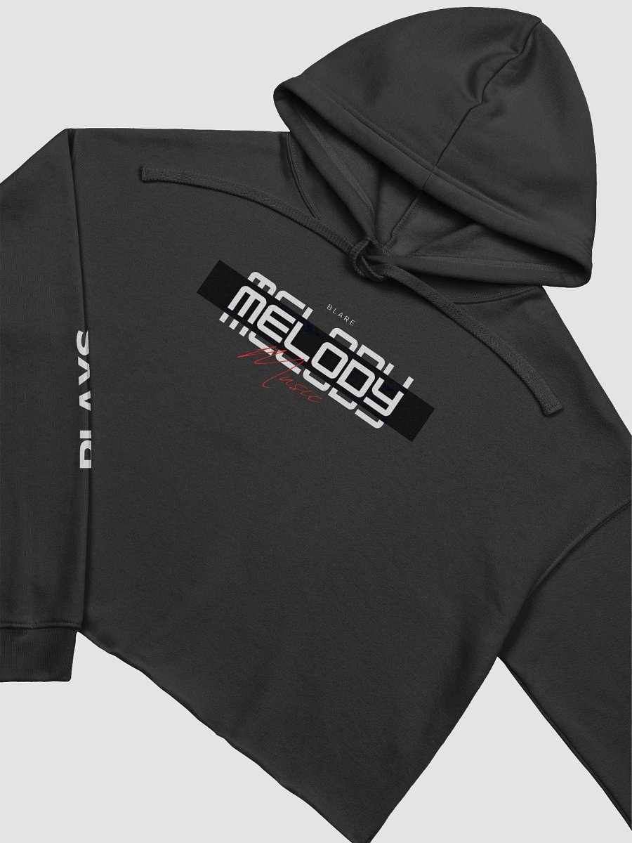 Melody & Blare Crop Hoodie product image (9)