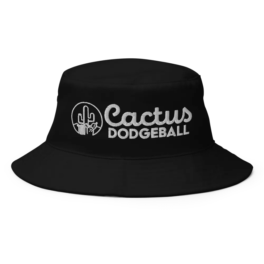 Cactus Dodgeball 