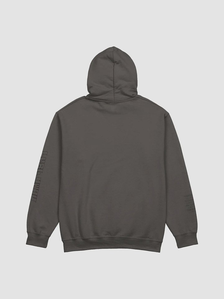 Moroni Hoodie product image (19)