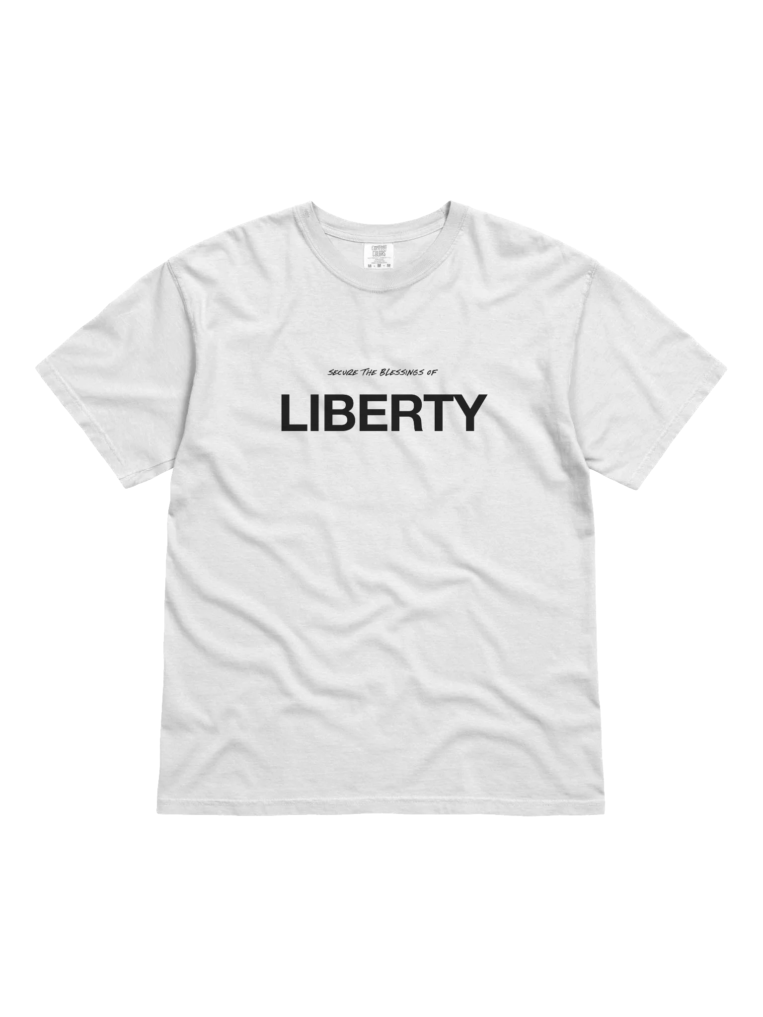Constitution Tee [Liberty] product image (7)