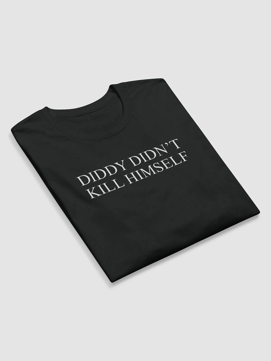 Diddy Didn't End Himself product image (3)
