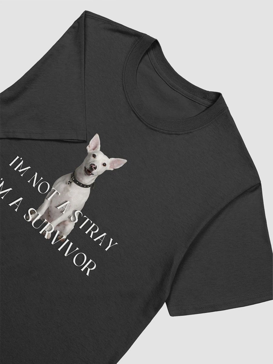 Dog Print Tees, I'm Not a Stray, I'm a Survivor product image (3)