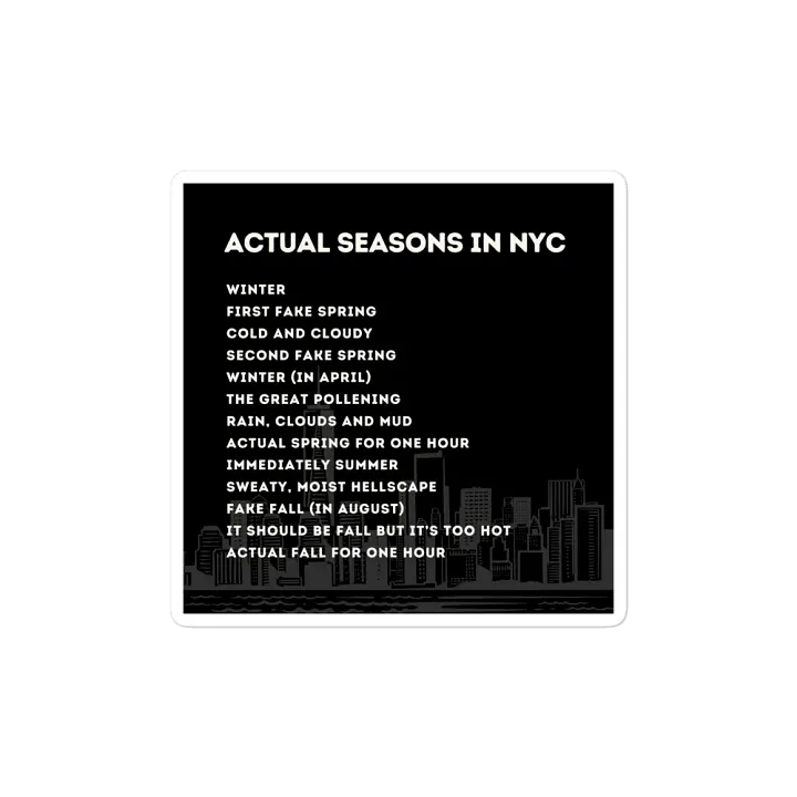 Actual Seasons in NYC Magnet product image (2)
