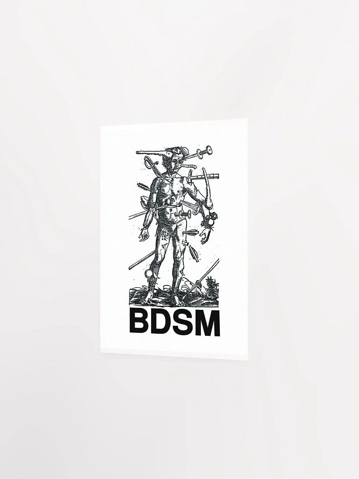 BDSM - Poster product image (9)