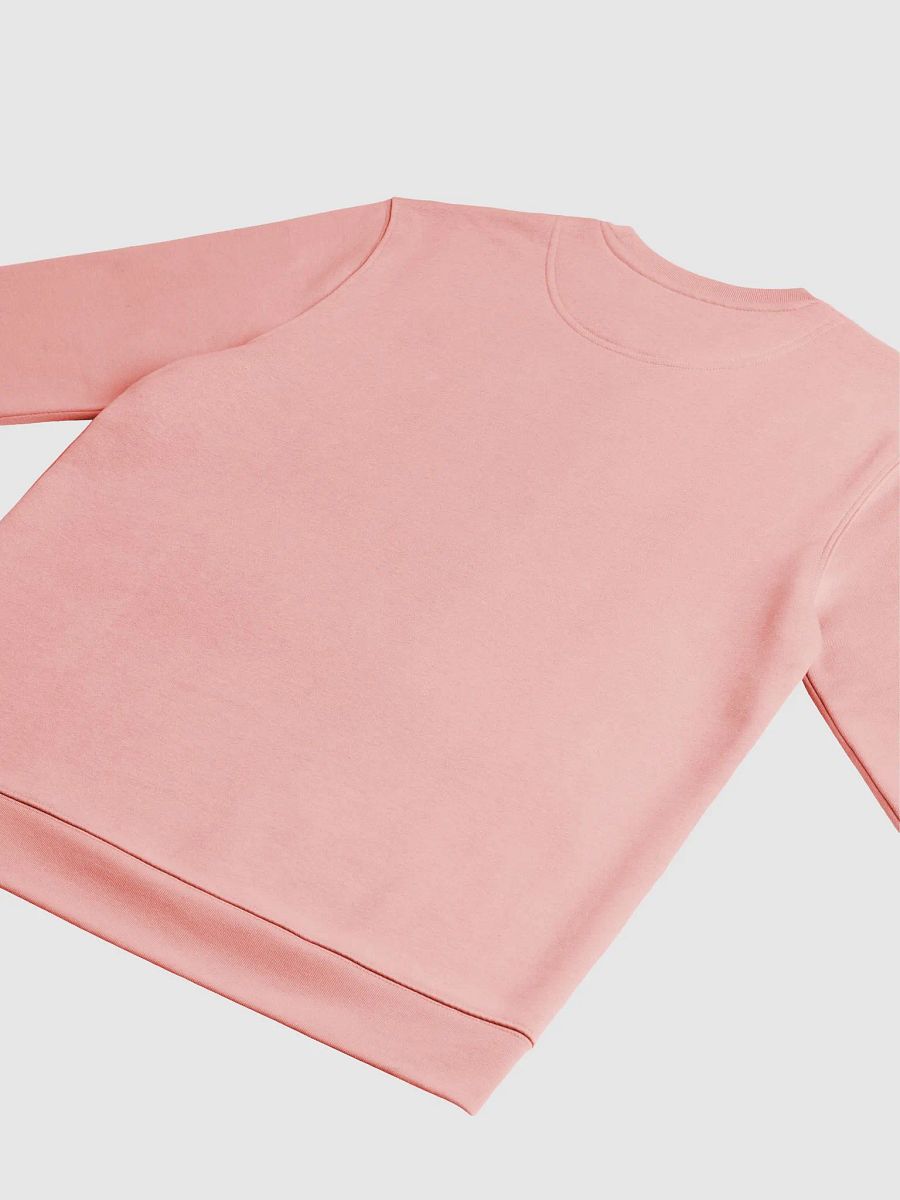 Winter Whiskers_Stanley/Stella Unisex Eco Sweatshirt product image (4)