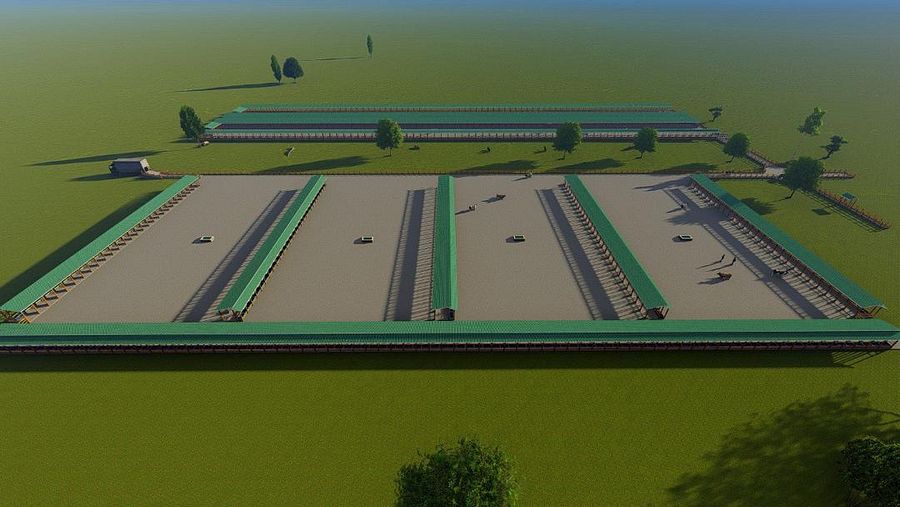 500 Bulls Feedlot Design Plans product image (2)