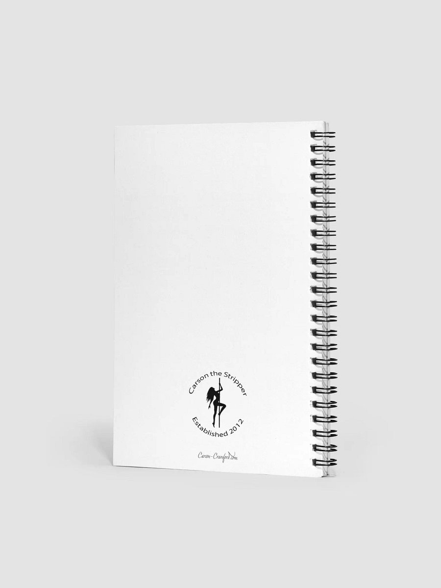 Write with Carson product image (2)