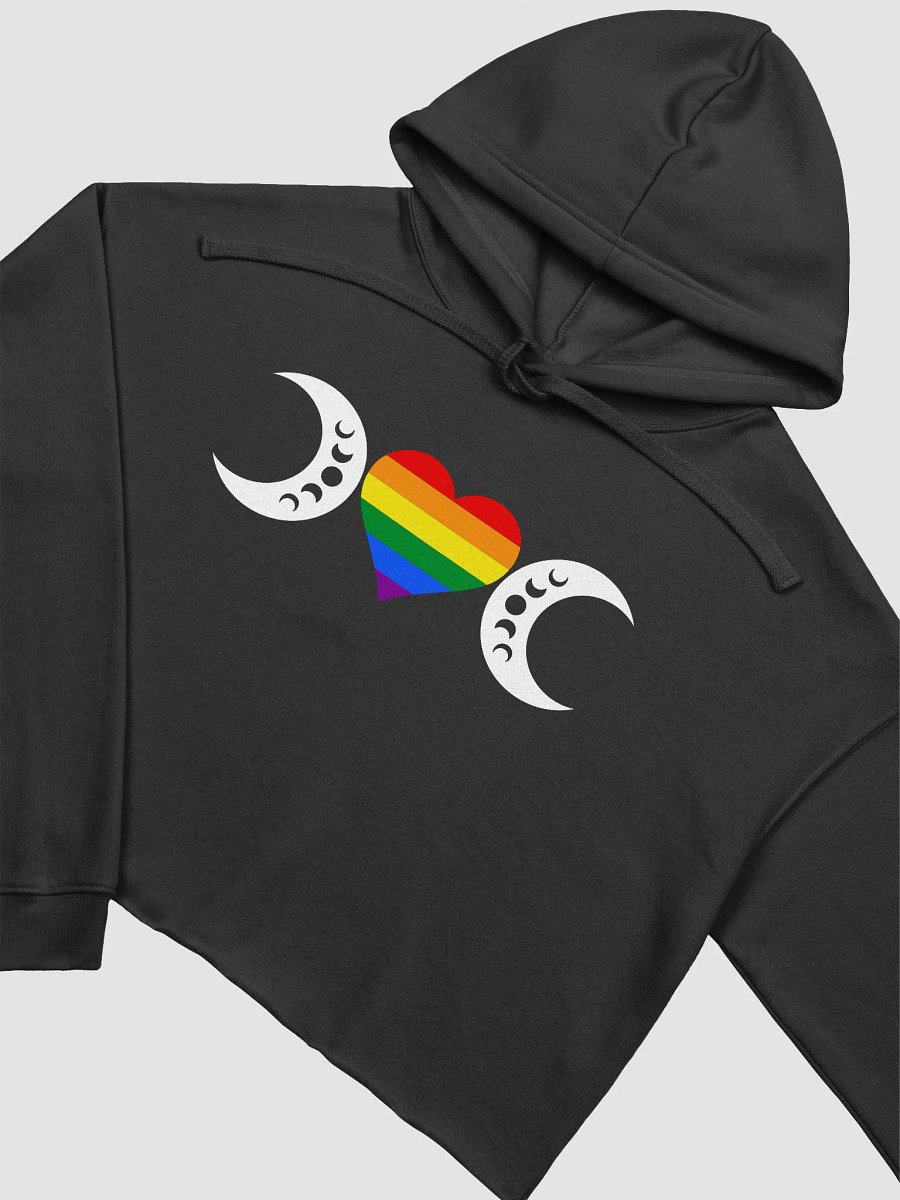 The Queer Witch Project pt. 1 - crop hoodie product image (2)
