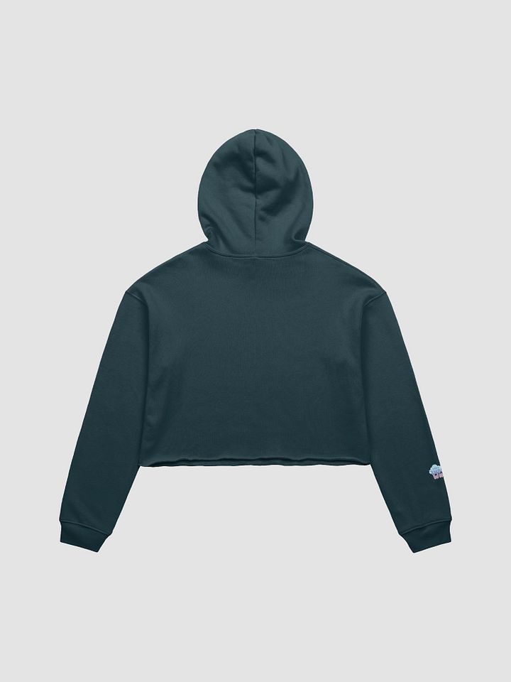 Gaytorade Boba Cropped Hoodie product image (12)