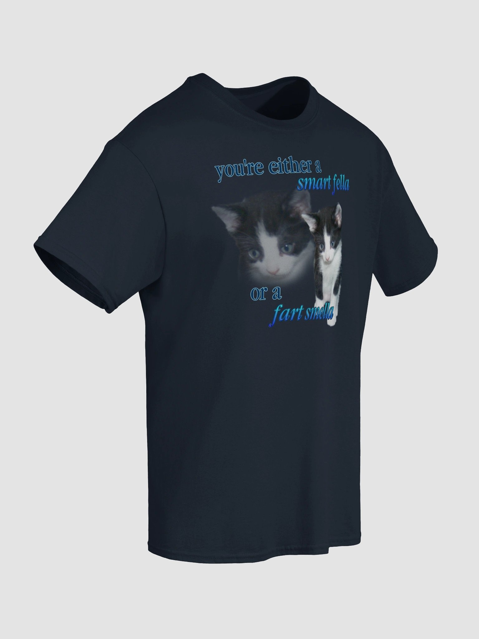 Smart Fella or a Fart Smella - Cat T-shirt product image (92)