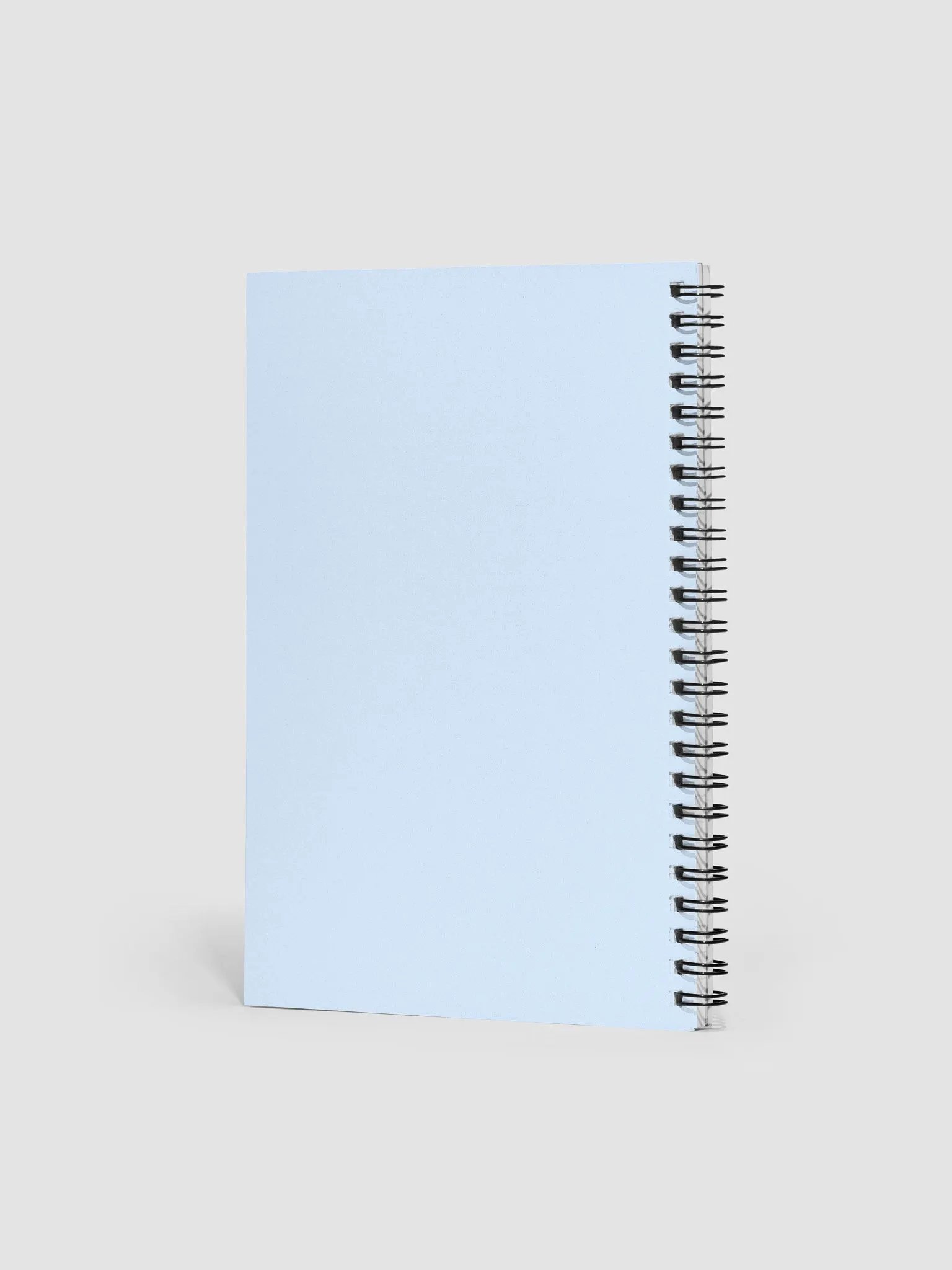 Journal product image (2)